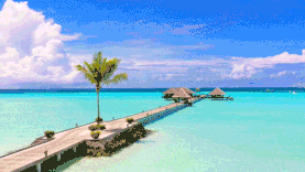 马尔代夫海边栈桥风景实拍海岛图片