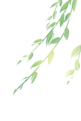 春夏大树树叶绿色手绘插画图片