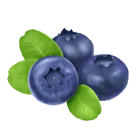 深蓝色卡通手绘蓝莓水果图片