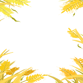 芒种黄色小麦植物边框元素