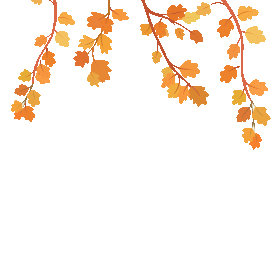 手绘植物秋天落叶漂浮枫叶图片