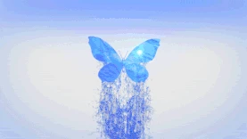 明亮水流蝴蝶光效水背景