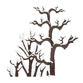 二十四节气寒露冬天冬季下雪雪树上雪掉落树木树枝图片