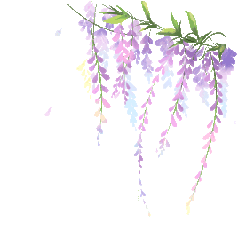 春天花朵花瓣紫藤花花藤唯美紫色漂浮gif图素材图片