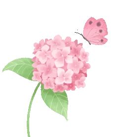 蝴蝶花朵绣球花绿叶植物粉色gif图素材图片