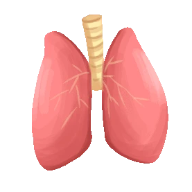 医疗人体器官肺卡通动图gif