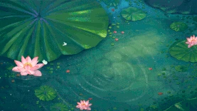 夏天风景池塘荷花荷叶治愈唯美绿色插画视频背景gif图素材