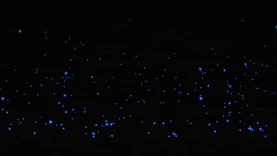 粒子光效发光光点光圈唯美蓝色视频背景gif图素材