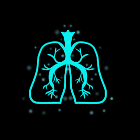 医疗科技感人体器官肺部线条蓝色