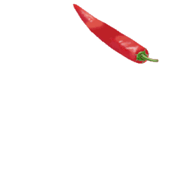 调味料食材辣椒八角手绘写实gif图素材