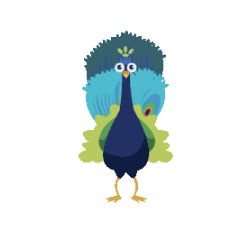 动物孔雀开屏可爱蓝色gif图素材
