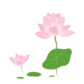 夏天荷塘粉色荷花中国风绿色植物花朵花gif图素材