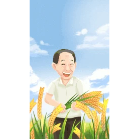 水稻稻穗丰收田野杂交水稻之父竖版视频背景gif图素材图片
