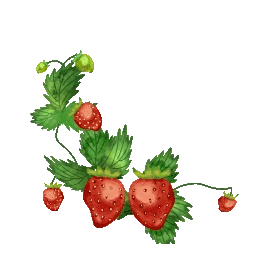 藤蔓上的一串草莓水果gif图素材图片