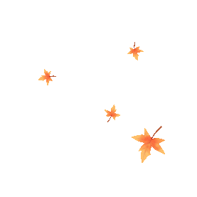 秋天秋季树叶落叶黄色枫叶飘落漂浮gif图素材