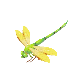 飞翔的黄色蜻蜓昆虫gif图素材