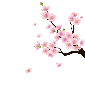 杏花粉嫩粉色花瓣花朵花gif图素材