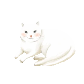 动物猫咪小猫休息白色gif图素材