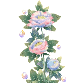 梦幻牡丹花卉花朵花植物gif图素材