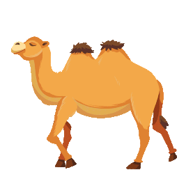 野生动物骆驼gif图素材图片