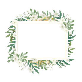 花卉边框小清新植物文字框gif图素材图片