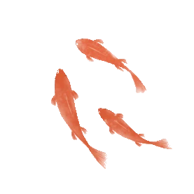 红色水墨鱼金鱼锦鲤鲤鱼gif图素材