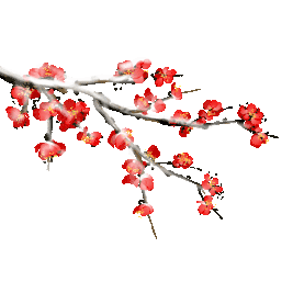 冬天腊梅梅花花朵花水墨风中国风红色gif图素材图片