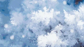冬天霜花雪花浪漫视频背景唯美蓝色gif图素材图片