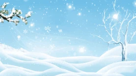 冬天立冬雪地松柏清新下雪雪花视频背景蓝色gif图素材小寒 大寒图片