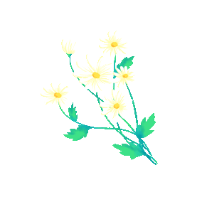 植物风中飘荡的小雏菊小清新gif图素材图片