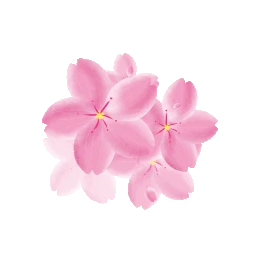 春天粉色樱花旋转花朵花gif图素材图片