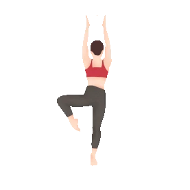 女生健身瑜伽锻炼减肥运动塑形