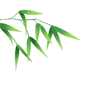 春季春天植物竹叶竹子水滴简约gif图素材