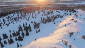 夕阳落日森林雪景航拍图片