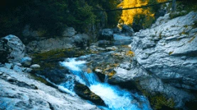 山泉河流流淌风景实拍图片