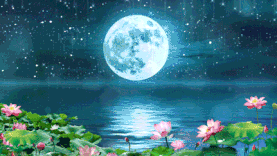 荷塘月色荷花月亮中秋节背景图片