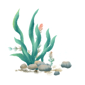 海底植物海藻元素插画