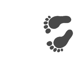 人类脚印行走痕迹图片