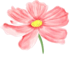 手绘卡通 小花 花朵 一朵花 小红花 小粉花 红色 粉色 小野花 可爱的花朵 鲜花图片