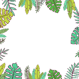 热带植物棕榈叶边框