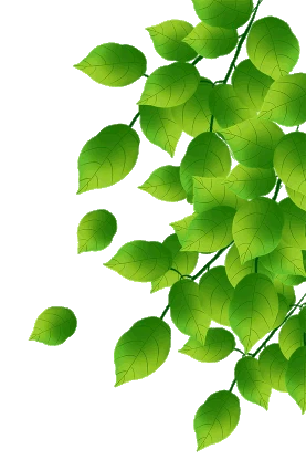 绿色树叶底纹春天飘落图片