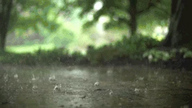 下雨天雨水滴落在地面实拍视频图片