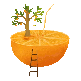 黄色水果主题之橙子喝橙汁橘子树橘子图片
