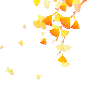 金黄色银杏叶树叶植物落叶gif图素材图片