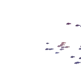 紫蓝色鱼群gif图片元素