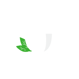 可爱绿茶的卡通养生喝茶