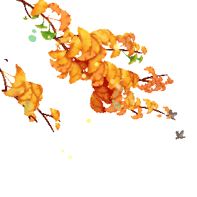 秋季秋天金黄银杏树枝落叶