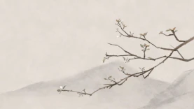 中国风古风典雅树枝玉兰花开动图片