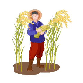 芒种彩色农民节喜悦人物小麦装饰扁平风插画芒种图片