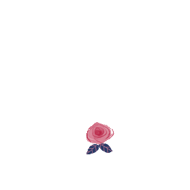 粉色浪漫玫瑰花环森系标题框gif图素材